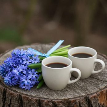 Цикорій та кавові напої